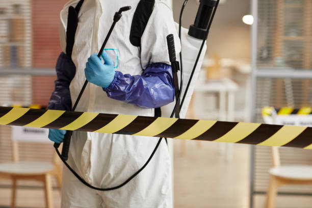 Professional Blood Cleanup technician working in Agate, CO